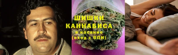 прущие крисы Белокуриха