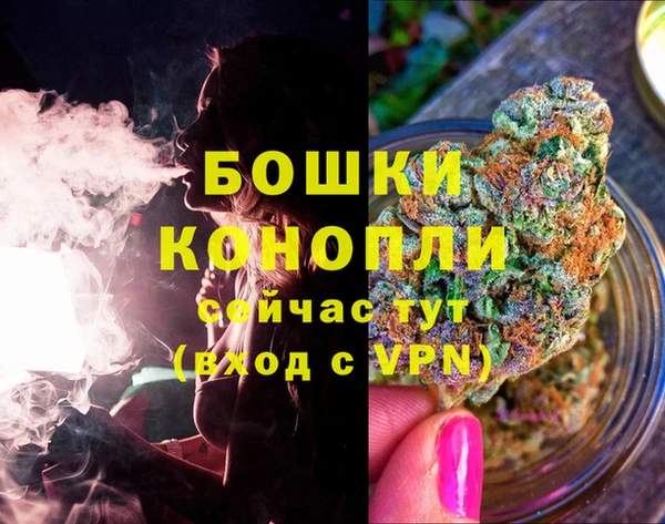 прущие крисы Белокуриха