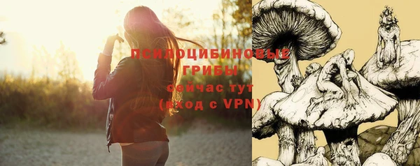 spice Белоозёрский