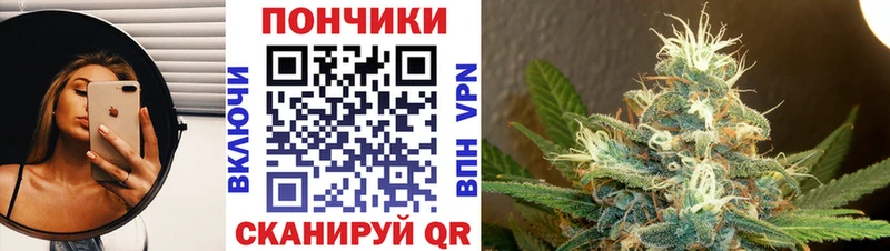 Бошки Шишки THC 21%  MEGA рабочий сайт  Облучье  как найти закладки 